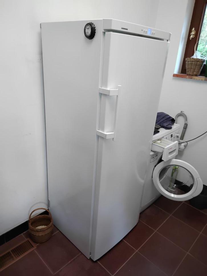 diepvries Merk Liebherr 200l/300l, Elektronische apparatuur, Vriezers en Diepvrieskisten, Zo goed als nieuw, Vrijstaand, Vrieskast