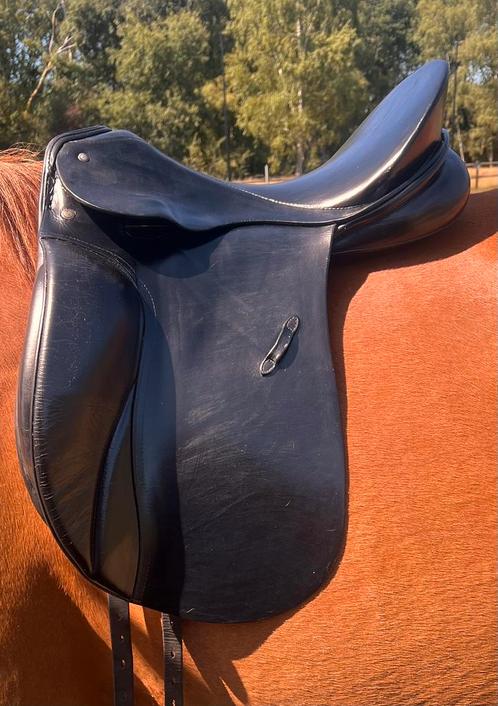 Passier grand gilbert dressuurzadel, Dieren en Toebehoren, Paarden en Pony's | Zadels, Ophalen
