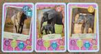 3 fotokaarten: olifanten, Verzamelen, Ophalen of Verzenden, Dier, Zo goed als nieuw, Prent