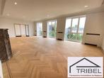 Appartement à Woluwe-Saint-Pierre, 4 chambres, Immo, Maisons à louer, 290 m², Appartement, 4 pièces