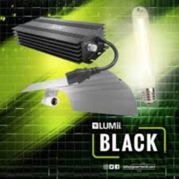 LUMII BLACK beschikbaar voor biedingen