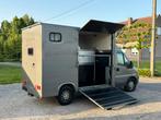 🐴Citroën Jumper 2.8HDI Paardencamionette Horses Camera, Dieren en Toebehoren, Paarden en Pony's | Trailers en Aanhangwagens, Ophalen