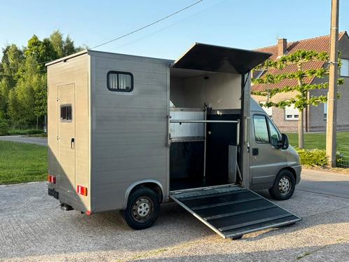 🐴Citroën Jumper 2.8HDI Paardencamionette Horses Camera, Dieren en Toebehoren, Paarden en Pony's | Trailers en Aanhangwagens, Ophalen