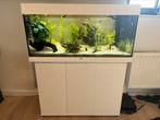 Juwel rio 180 aquarium, Dieren en Toebehoren, Ophalen, Zo goed als nieuw, Gevuld zoetwateraquarium