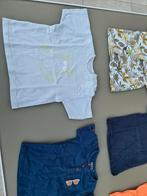 t-shirt met kikker Petit Filou 92, Enfants & Bébés, Vêtements enfant | Taille 92, Enlèvement ou Envoi, Comme neuf