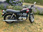 Bonneville T100, Particulier