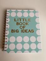 Nieuw notitieboekje ‘Little book of big ideas’, Ophalen of Verzenden, Zo goed als nieuw