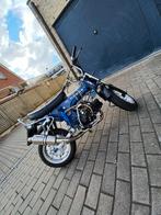 Dax 200cc, Motoren, Particulier