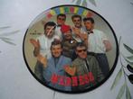7" MADNESS - House of fun ( picture disc ), Verzenden, Single