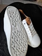 Veiligheidschoenen s3, Ophalen of Verzenden, Nieuw