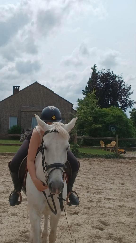 Bijrijd pony/paard gezocht!, Dieren en Toebehoren, Pony's