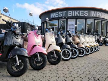 Lowigi Scooters | A of B-Klasse | Benzine | beschikbaar voor biedingen