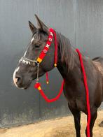 Arabisch showhalster, Dieren en Toebehoren, Ophalen of Verzenden, Nieuw