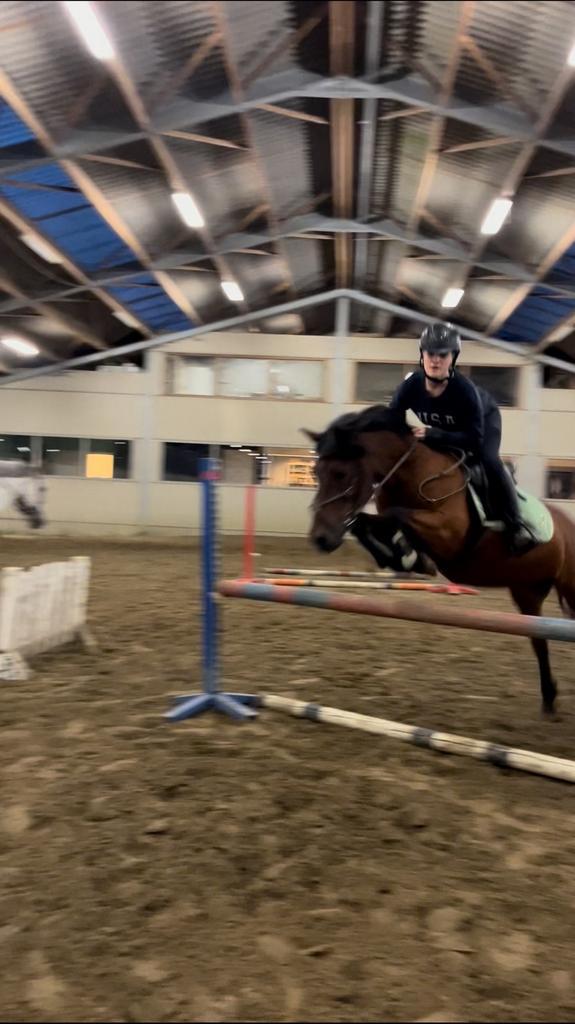 Verzorgpaard gezocht!, Animaux & Accessoires, Chevaux & Poneys | Produits de soin, Comme neuf, Enlèvement ou Envoi