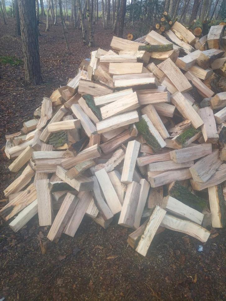 BRANDHOUT, Tuin en Terras, Brandhout, Blokken, Essenhout, 6 m³ of meer, Ophalen of Verzenden