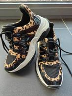 Steve Madden schoenen, Ophalen of Verzenden