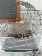 Valkparkiet zeer goede handtamme met de kooi erbij
