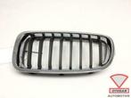bmw 3 serie f30 grille grill links nieuw! 0670515, Auto-onderdelen, Nieuw, Links, BMW