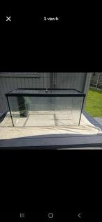Aquarium met alle toebehoren en kast, Ophalen, Zo goed als nieuw