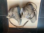 Stevige (berg)wandelschoenen Meindl - maat 39,5, Ophalen, Gebruikt, Schoenen