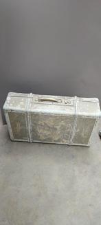 Prachtige grote vintage metalen opbergkoffer kist valies, Gebruikt, Ophalen of Verzenden
