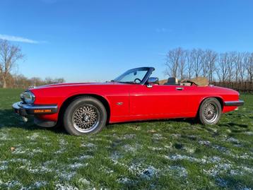 jaguar xjs v12 convertible