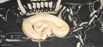 NK2025 ball python., Dieren en Toebehoren, Reptielen en Amfibieën, Slang, 0 tot 2 jaar
