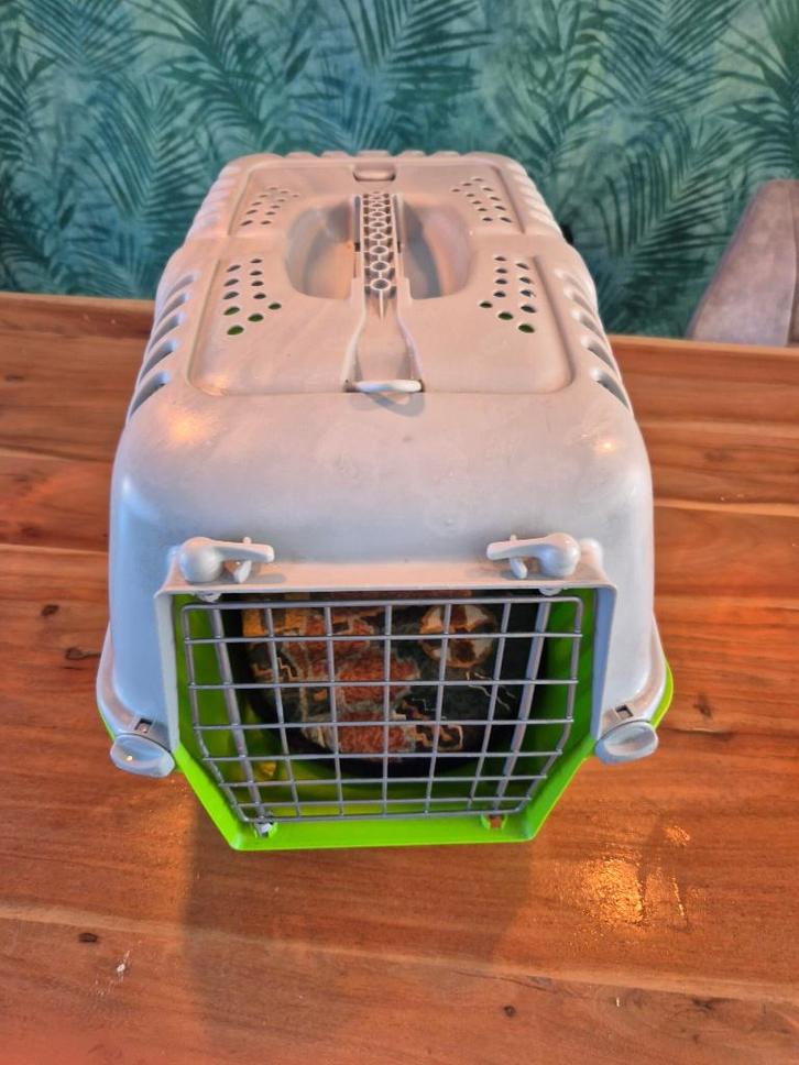 Kunststof transportbox huisdier – ideaal voor kat of kleine, Tuin en Terras, Tuinbanken, Gebruikt, Kunststof, Verzenden