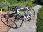 Racefiets Pinarello Prince SL 2004, Gebruikt, Meer dan 20 versnellingen, 53 tot 57 cm, Ophalen