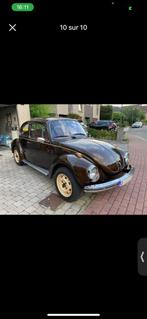 Coccinelle, Particulier, Achat