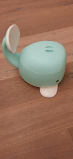 Baninni plaspotje, Enlèvement