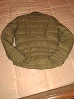 Veste pour femme, petite, neuve, Collections, Enlèvement