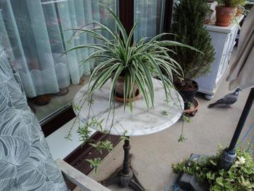 table d'appoint de jardin, Enlèvement, Comme neuf