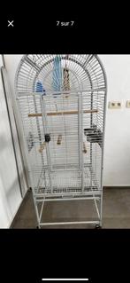 Cage perroquet, Divers, Enlèvement, Utilisé