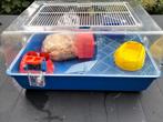 Hamsterkooi, Dieren en Toebehoren, Knaagdieren en Konijnen | Hokken en Kooien, Kooi, Gebruikt, Minder dan 75 cm, Hamster
