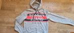 grijze trui met kap van Tommy Hilfiger maat XS - Smal, Ophalen of Verzenden, Tommy hilfiger, Grijs, Gedragen
