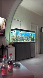Aquarium 1.50m, Ophalen, Zo goed als nieuw