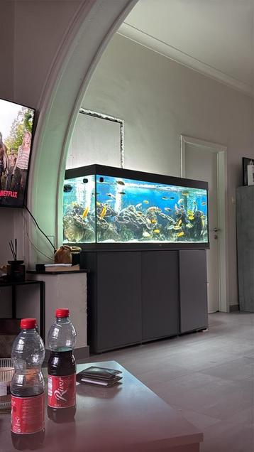 Aquarium de 1,50 m, Enlèvement, Comme neuf