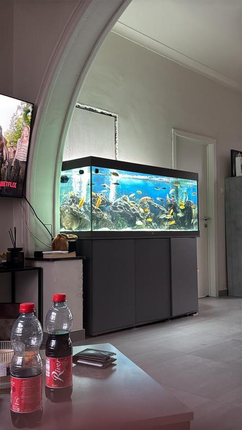 Aquarium 1.50m, Dieren en Toebehoren, Vissen | Aquaria en Toebehoren, Zo goed als nieuw, Ophalen