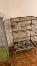 Jannick, Animaux & Accessoires, Oiseaux | Accessoires, Enlèvement