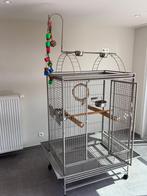 Ruime vogelkooi in zeer goeie staat 8310 Assebroek, Ophalen, Zo goed als nieuw, Vogelkooi
