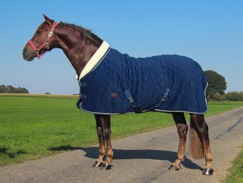Profi-Rider Showdeken Velvet Light 100g Navy 185 + 195 + 205, Dieren en Toebehoren, Paarden en Pony's | Dekens en Dekjes, Nieuw