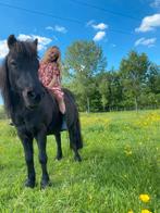 Paddock paradise aan huis