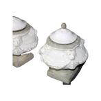 Paire de Vasques à Tête de Lions en Pierre avec Couvercles, Jardin & Terrasse, Enlèvement, Utilisé, /, /