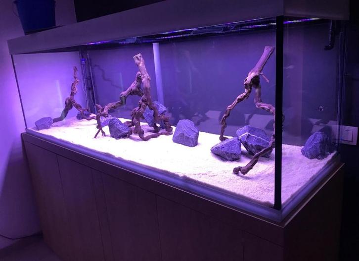 Grand aquarium 2.10/60/70h, Dieren en Toebehoren, Vissen | Aquaria en Toebehoren, Ophalen