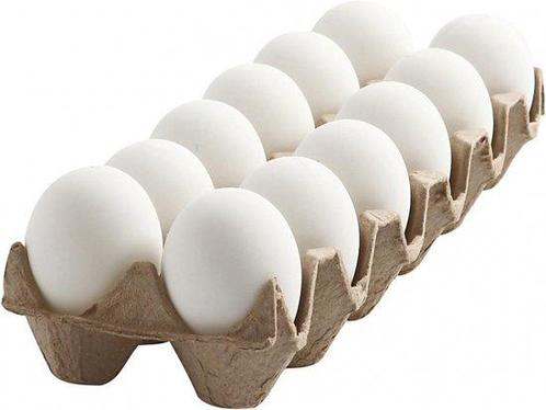 Broedeieren “Witte Leghorn”, Dieren en Toebehoren, Pluimvee, Kip