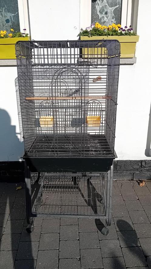 Cage à perruches et à perroquets sur roues, Animaux & Accessoires, Oiseaux | Cages & Volières, Comme neuf, Enlèvement