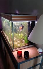 Aquarium van 220 liter, Dieren en Toebehoren, Ophalen, Gebruikt, Leeg aquarium