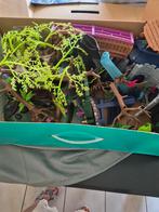 Groot lot playmobil ayuma NIEUW, Ophalen, Zo goed als nieuw