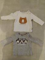 longsleeve jongen maat 62, Kinderen en Baby's, Ophalen of Verzenden, Jongetje, Shirtje of Longsleeve